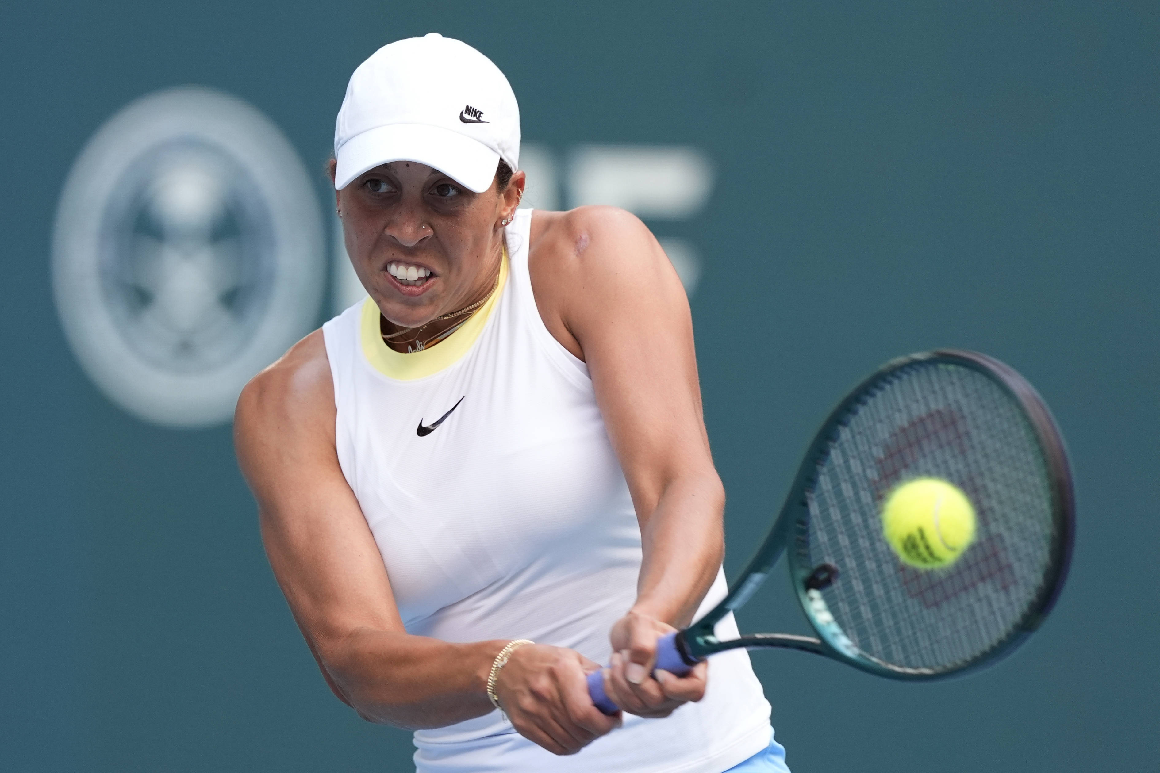 皇家社会的 皇家社会的