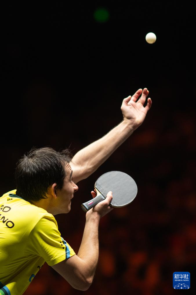 售后联动服 售后联动服